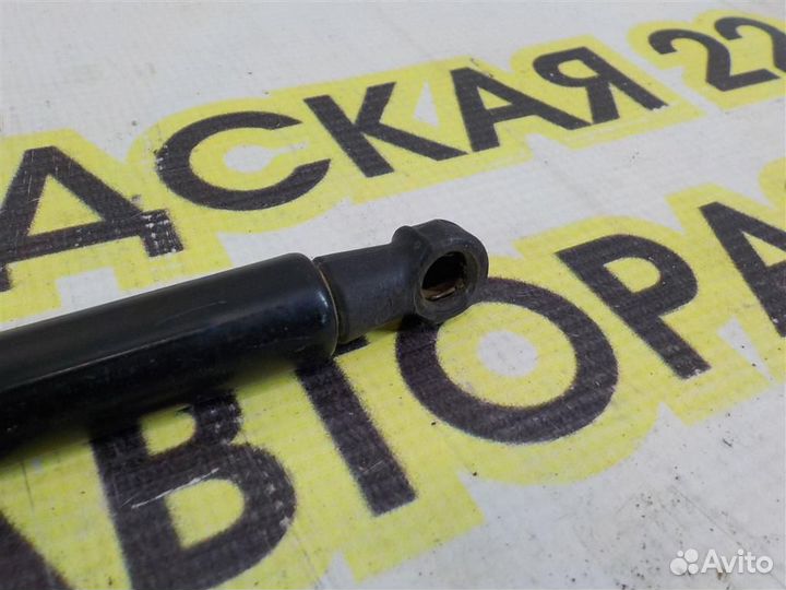 Амортизатор двери багажника Nissan Qashqai (J10)