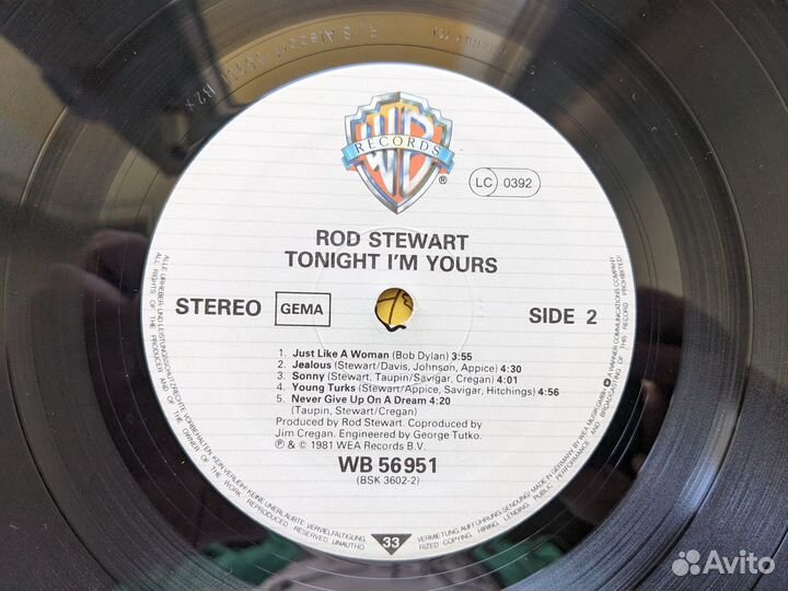 Rod Stewart 