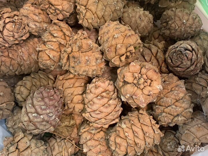 Орех кедровый ядро