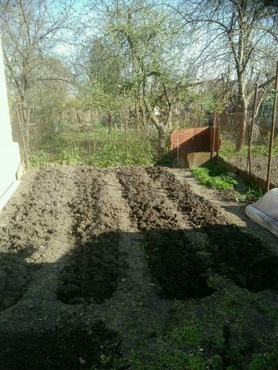 Дом 38 м² на участке 2,5 сот.