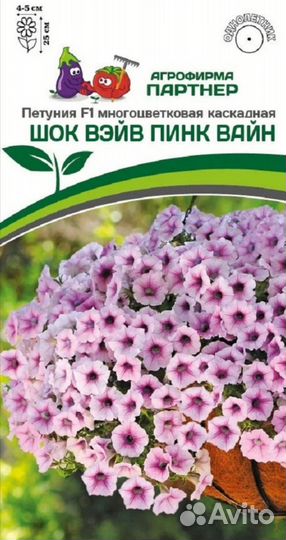 Рассада петунии от фирмы партнёр
