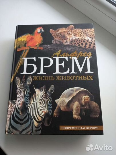 Книга Жизнь животных