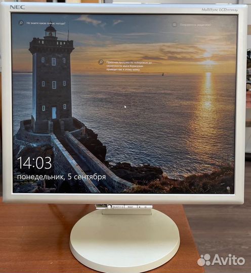 Мониторы: Samsung, LG, NEC, LG Flatron L