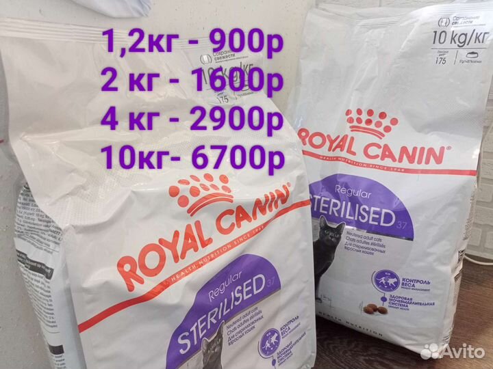 Корм Роял Канин