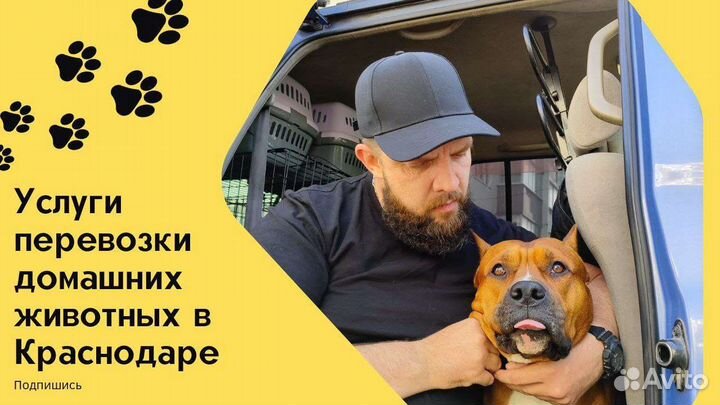 Перевозка животных, зоотакси