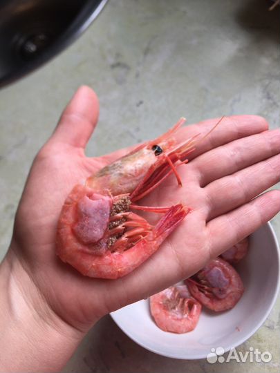 Креветка (Магадан)