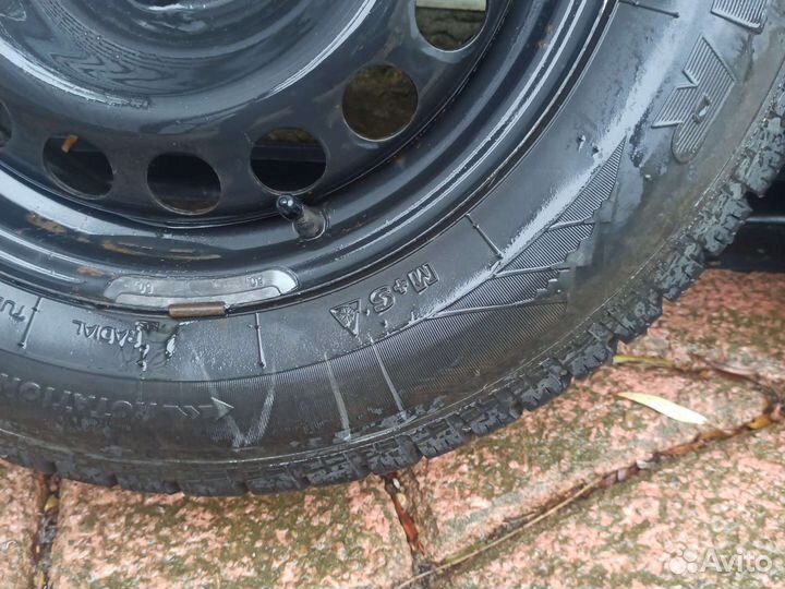 Tigar Sigura 195/65 R15
