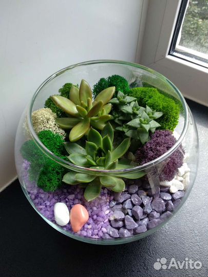 Флорариум с суккулентами