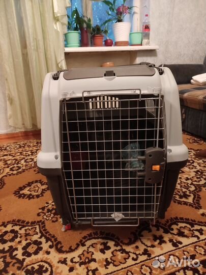 Переноска для крупных собак