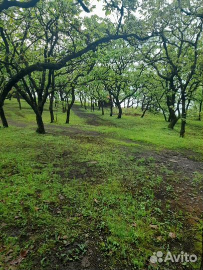 База отдыха. Номера. отдых у моря. Рязановка