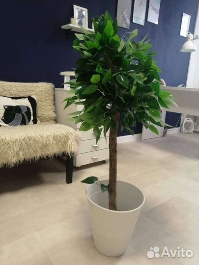 Искусственное растение