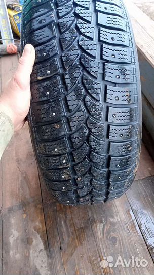 Tigar Sigura Stud 205/55 R16