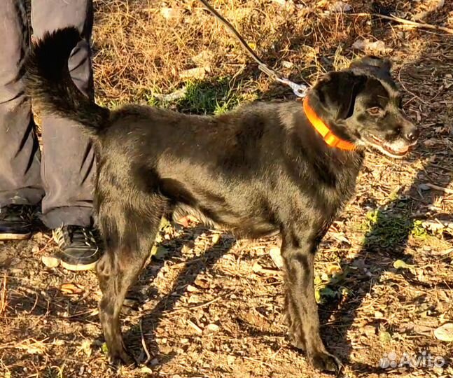 Отдадим мальчишку в заботливые руки