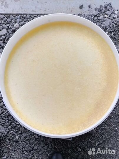 Мед разнотравие оптом