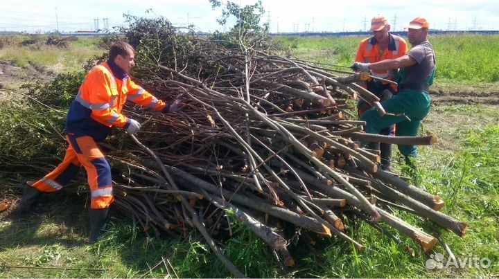 Разнорабочие, уборка территории. Аутсорсинг