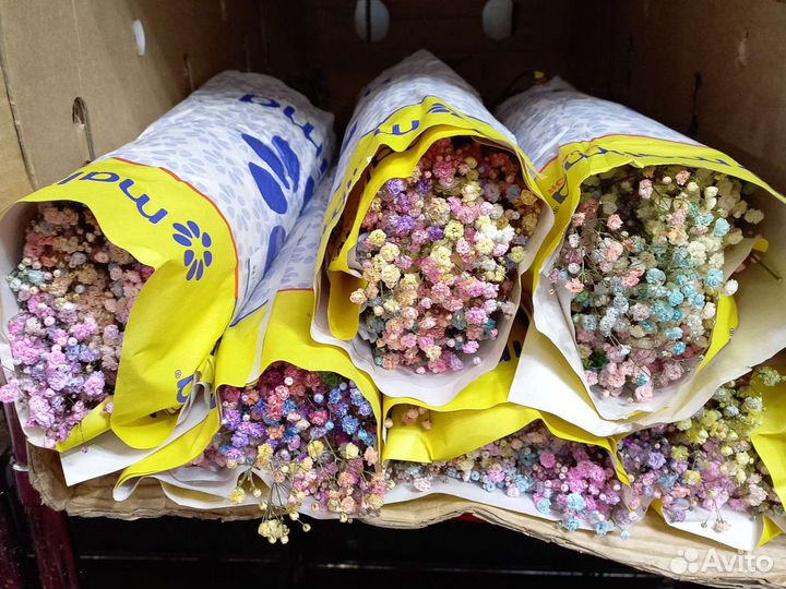 Гипсофила опт и розница