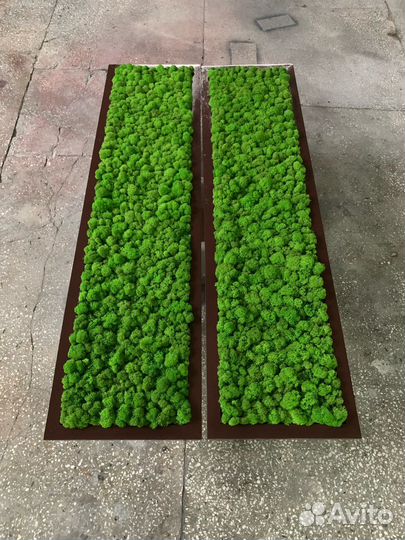 Панно со мхом на стену