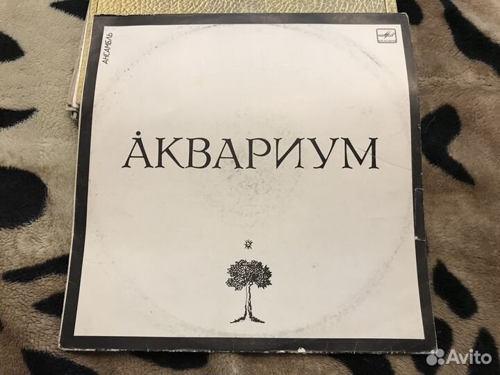 Винил Аквариум