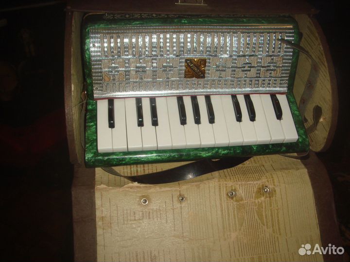 Аккордеон малыш с футляром Баян детский