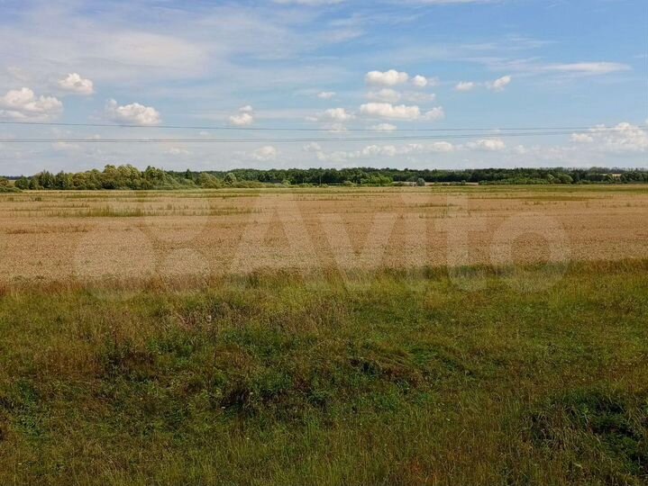 Участок 22 га (СНТ, ДНП)