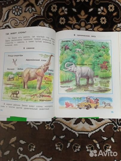 Книги - Окружающий мир