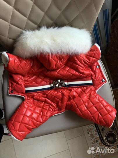 Одежда для маленьких собак