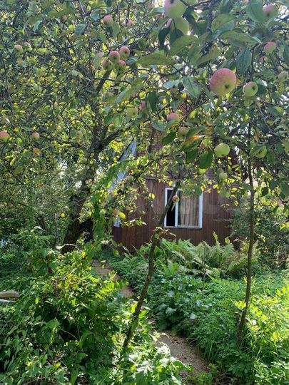 Дача 40 м² на участке 8 сот.