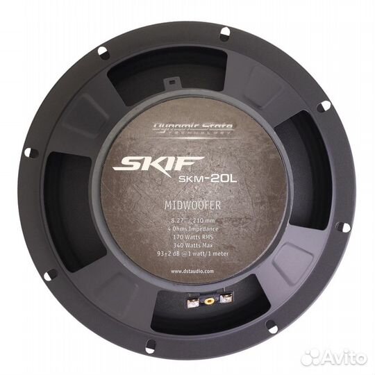 Акустика Dynamic State skif SKM-20L