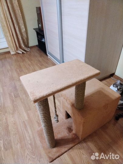 Когтеточка с домиком бу мало