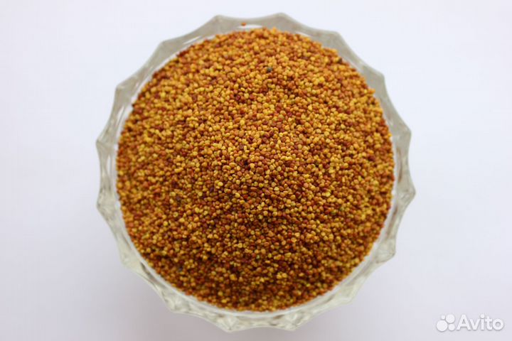 Семена клевера лугового оптом от 100кг