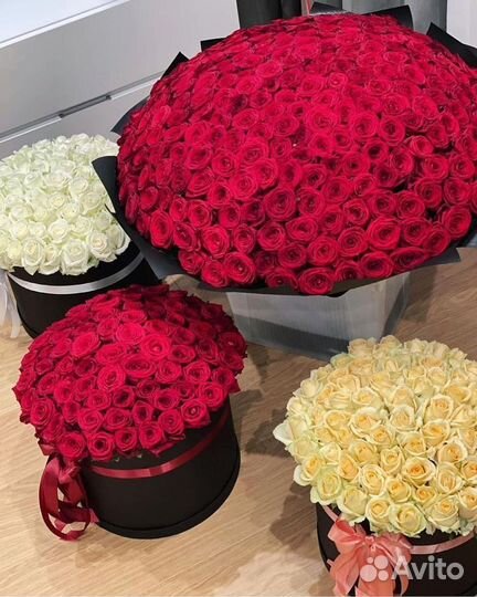 101 высокая роза, доставка цветов