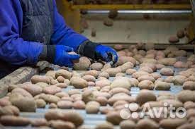 Сортировщик