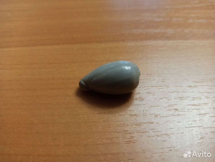 Морская раковина