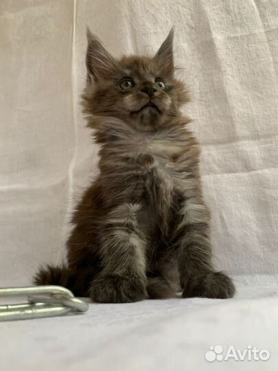 Готовы к переезду