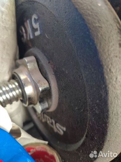 Гриф с блиннами