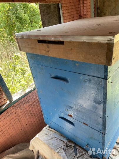 Улей для пчел