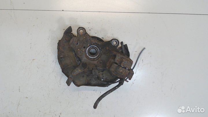 Ступица (кулак, цапфа) Volkswagen Jetta 5, 2008