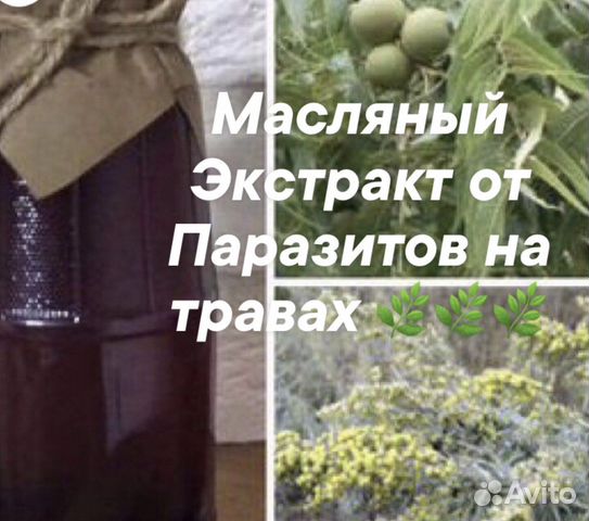 Масляный Экстракт Полыни с Черным орехом от параз