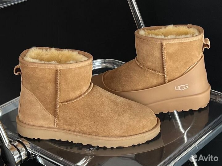 Угги Классикс Мужские Ugg Classic Mini II Chestnut