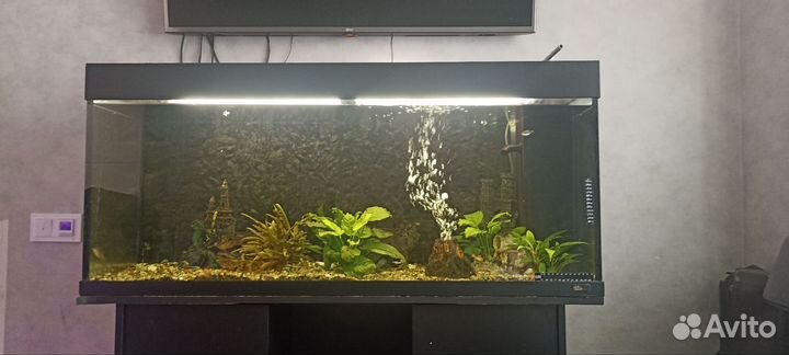 Аквариум с тумбой 300 литров