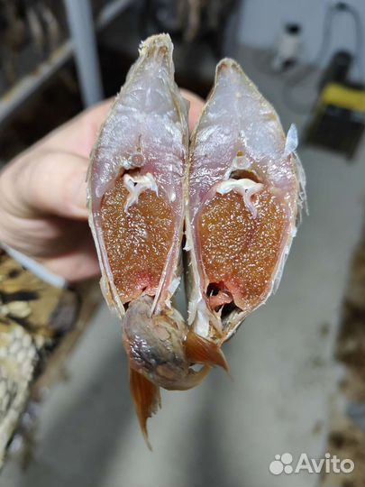 Вяленая рыба