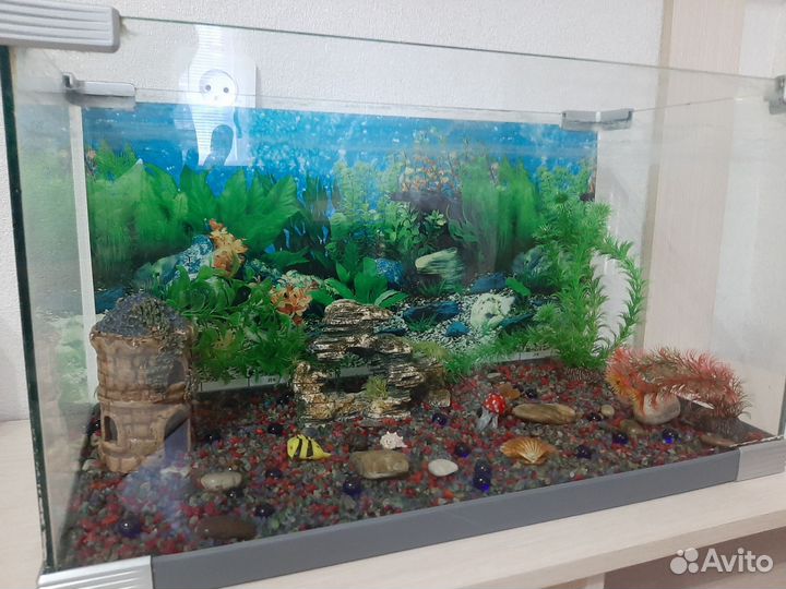Аквариум