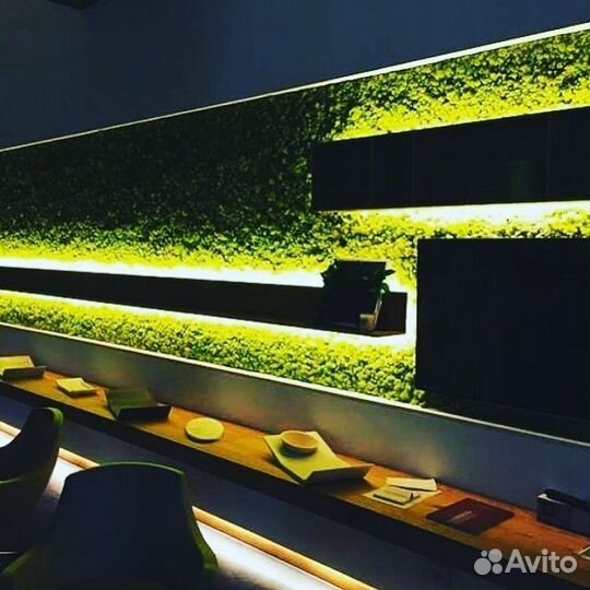 Фитостена из мха с подсветкой