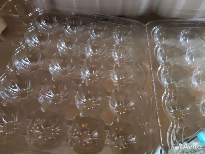 Упаковка для перепелиных яиц