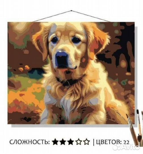 Картины по номерам 40 на 50 см