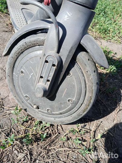 Электро самокат взрослый xiaomi m365