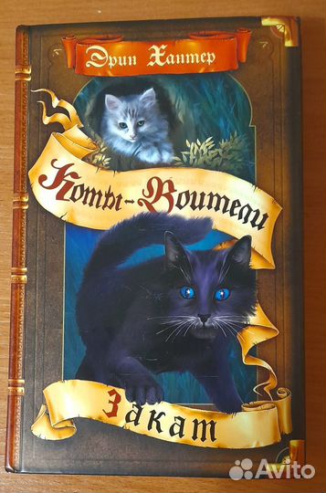 Коты- воители