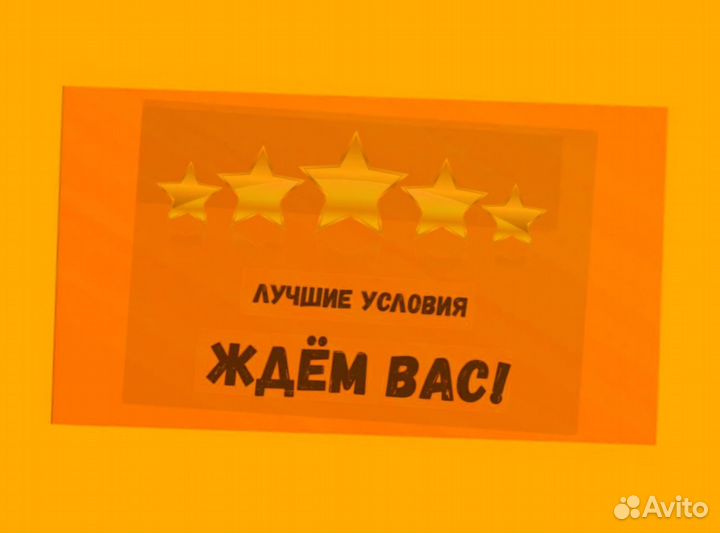 Грузчики вахтой прожив. Еда Выплата еженедельно +О