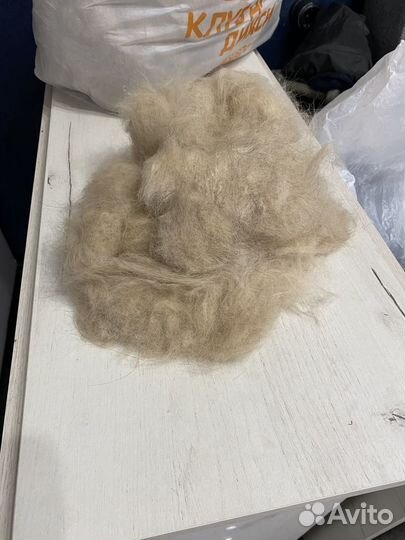 Собачья шерсть пух