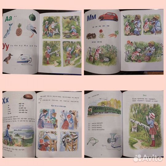 Букварь Азбука Цвета Моя первая азбука новые книги
